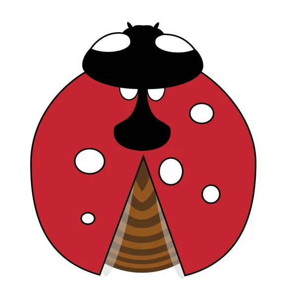 夫人鸟或浅白色背景上孤立的瓢虫。红色的昆虫 — 图库矢量图片