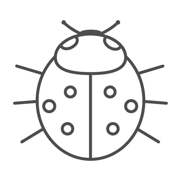 Ladybird on white background . Vector illustration. — Stock Vector
