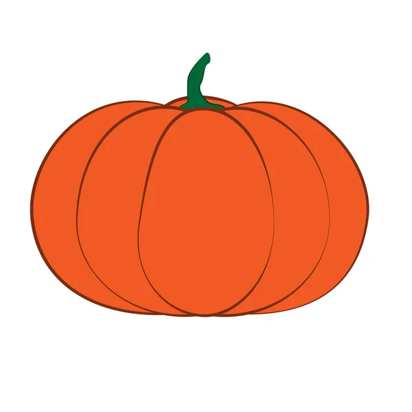 Halloween geïsoleerd pompoen in vector. Herfst dall thanksgiving voedsel voor vegetarisch. Natuurlijke seizoensgebonden plant van bedrijf of tuin. — Stockvector