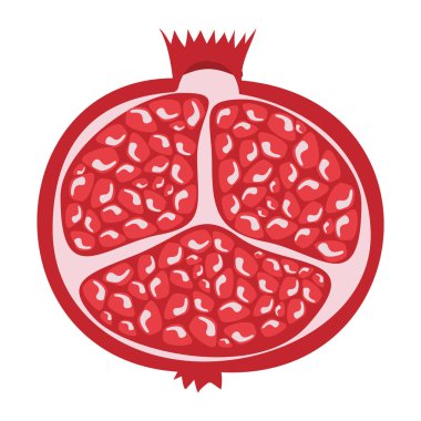 Bütün nar tasarım sulu taze meyve simgesi. Ham nar düz çizgi film vektör çizim şablonu.