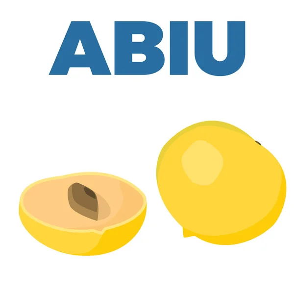 Pouteria caimito or the abiu golden fruit isolated on background. Yellow vector tropical fruit. — Stock Vector