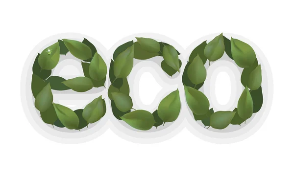 Ecología hoja verde lagel, logotipo de diseño ecológico. vector naturaleza etiqueta ecológica planta pegatina — Vector de stock