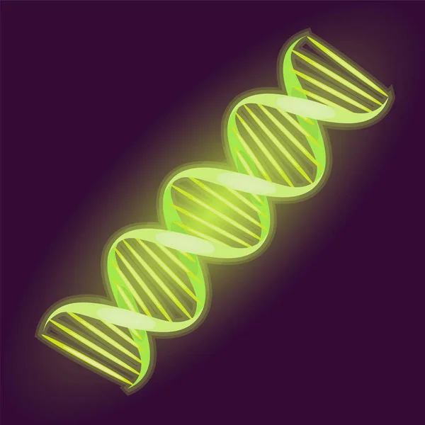Molekul DNA dengan latar belakang gelap. objek biologis. Vektor - Stok Vektor
