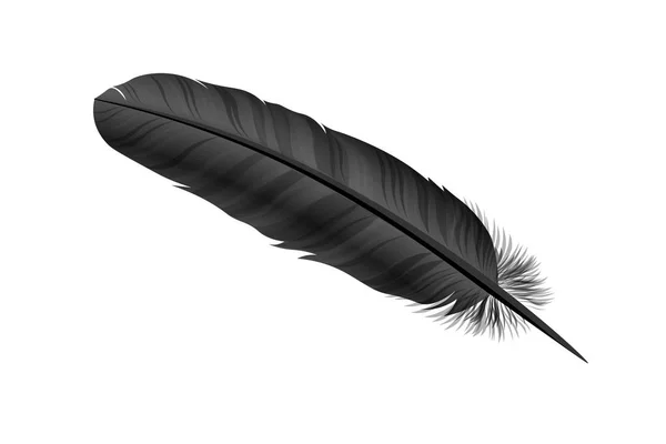 Pluma de ave negra sobre fondo blanco. Vecto. — Vector de stock