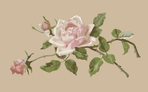 Delicate pink rose en buds op een beige achtergrond — Stockvector