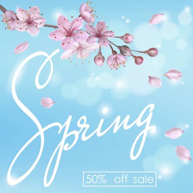 Vektör dekorasyon dalları ile çiçekler, Bahar çiçeği Sakura