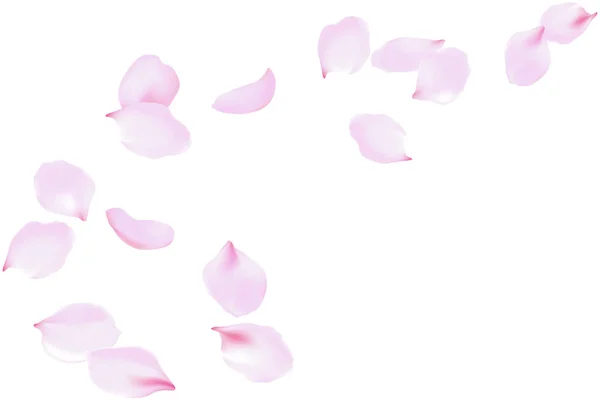 Fliegende zartrosa Rosenblätter. zarte Blumen blühen, blühender schwebender fallender Wind, Vektorhintergrund — Stockvektor
