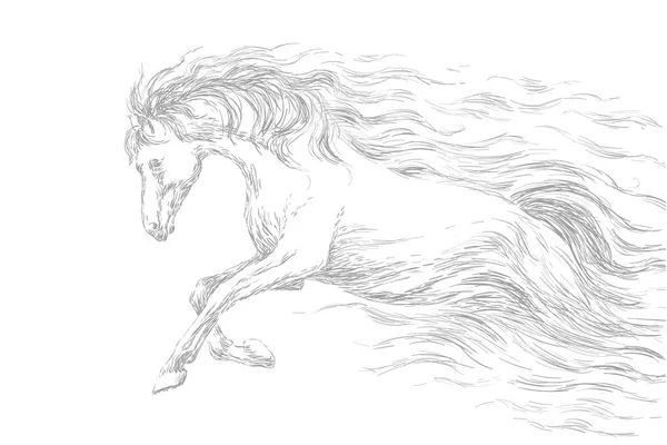 Kuda berlari, gambar garis, sketsa pensil abu-abu. ilustrasi vektor . - Stok Vektor