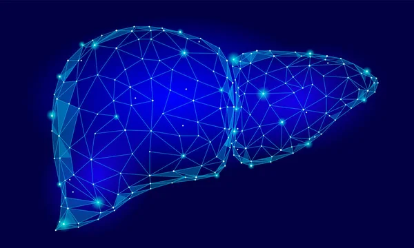 Human Liver Internal Organ Triangle Low Poly (en inglés). Conectado puntos de color azul tecnología 3d modelo medicina cuerpo sano parte vector ilustración — Archivo Imágenes Vectoriales