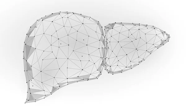 Mänskliga levern inre Organ triangel låg Poly. Anslutna prickar Blå färg teknik 3d modell medicin sund kropp del vektorillustration — Stock vektor