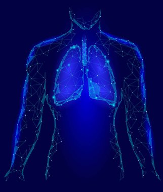 İnsan akciğerleri iç Organ. Solunum sistemi içinde vücut siluet. Düşük Poli 3d bağlı noktalar üçgen poligon teması. Mavi renk arka plan vektör çizim