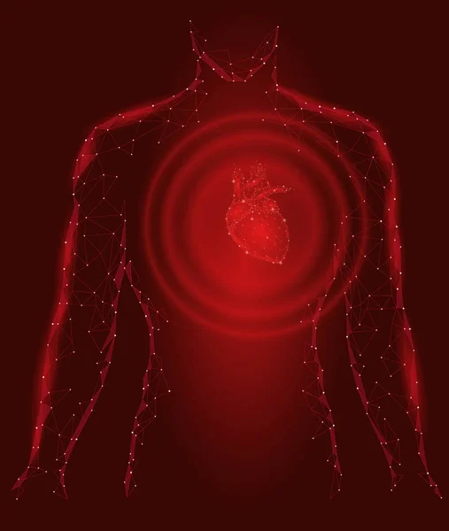 Ember sziluettje egészséges szív dobog 3d orvosi modell alacsony poli. Háromszög kapcsolódó pontok fénye pont piros háttér. Hullám impulzus belső test vektoros illusztráció — Stock Vector