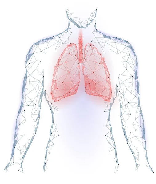 Pulmones humanos Infección pulmonar Órgano interno. Sistema respiratorio dentro de la silueta corporal. Diseño poligonal triangular de puntos conectados 3D de baja polivinílico. Color rojo azul fondo Vector Ilustración — Vector de stock