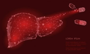 Tedavi rejenerasyon çürüme uyuşturucu. İnsan karaciğer iç Organ üçgen düşük Poli. Nokta beyaz gri renk teknoloji 3d modeli tıp sağlıklı vücut part vektör çizim bağlı