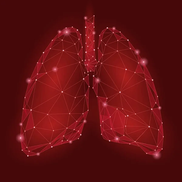 Pulmones de órganos internos humanos. Diseño de tecnología Low Poly. Color rojo triángulo poligonal puntos conectados. Salud icono medicina fondo vector ilustración — Vector de stock