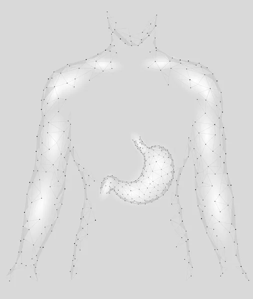 人类健康的胃里面的人 sikhouette。内部消化器官。低聚连接点灰色白色三角未来技术设计背景矢量医学插图 — 图库矢量图片