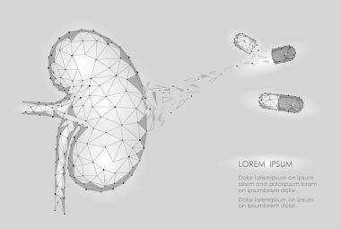 Böbrek iç organ erkek 3d düşük Poli geometrik model. Üroloji sistem tıp hastalığı tedavi ilaç kapsül. Gelecekte bilim teknoloji poligonal geometrik tel kafes vektör çizim