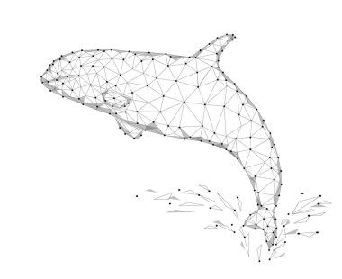 Katil balina 3d poligonal üçgeni modeli. Sualtı deniz vahşi tehlike canavarı. Soyut gri beyaz noktalar tel kafes logo su sıçrama vektör çizim bağlı