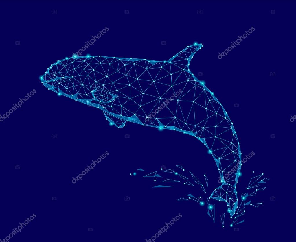 Killer whale 3d polygonal triangle model. Underwater sea wild danger monster. Glowing blue connected dots wire mesh logo water splash vector illustration art