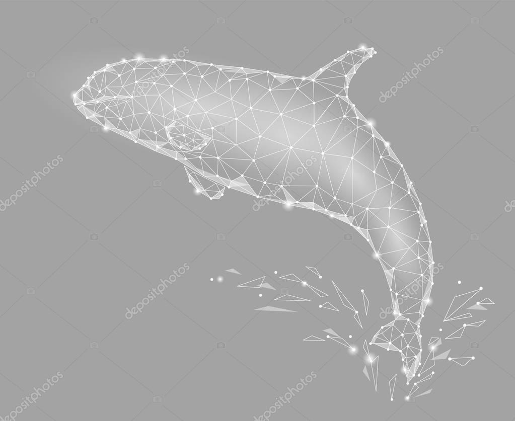 Killer whale 3d polygonal triangle model. Underwater sea wild danger monster. Abstract gray white connected dots wire mesh logo water splash vector illustration art