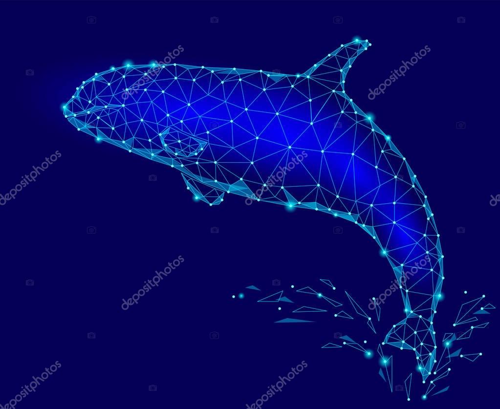 Killer whale 3d polygonal triangle model. Underwater sea wild danger monster. Glowing blue connected dots wire mesh logo water splash vector illustration art