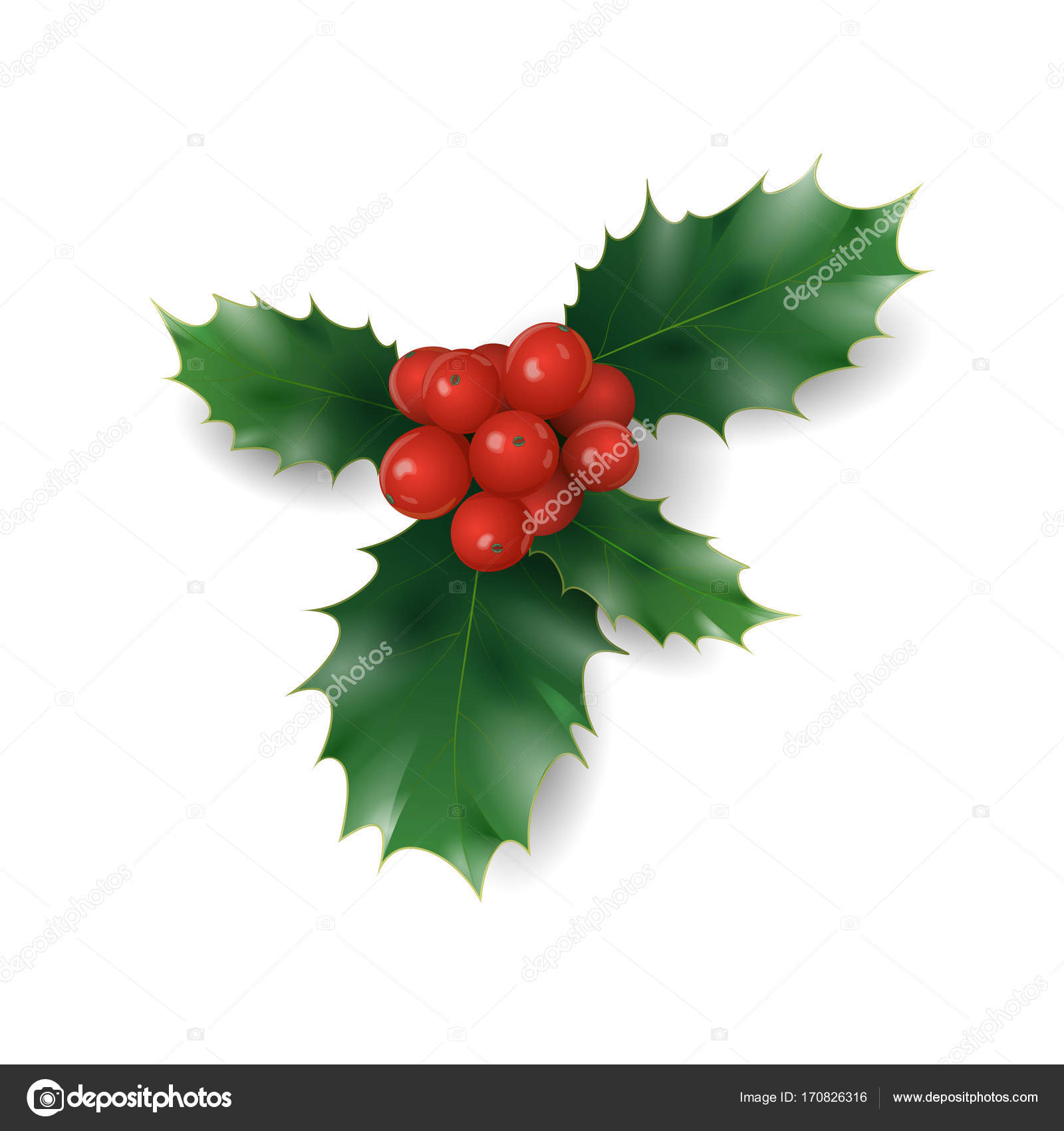 動物画像無料 綺麗なクリスマス 柊 イラスト