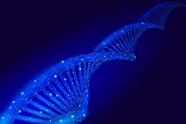 DNA estrutura molecular química 3D baixo poli. Linha de ponto triangular poligonal parte celular saudável. Ciência microscópica medicina azul genoma engenharia vetor ilustração futuro negócio tecnologia —  Vetores de Stock