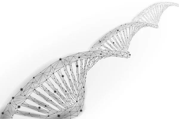 DNA 3d χημικό μόριο δομή χαμηλή poly. Πολυγωνικό τρίγωνο σημείο γραμμή υγιούς κυττάρου μέρος. Μικροσκοπική επιστήμη γονιδιώματος γκρι λευκό ιατρική τεχνολογία μελλοντική επιχειρηματική εικονογράφηση διάνυσμα — Διανυσματικό Αρχείο