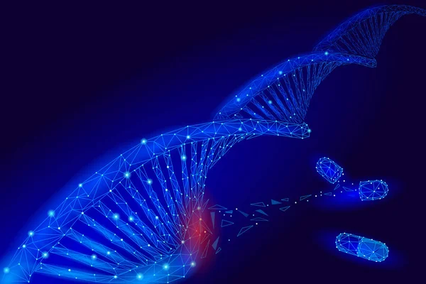 Genoterapia DNA 3D estrutura química molécula baixo poli. Linha de ponto triangular poligonal parte celular saudável. Inovação medicina azul genoma engenharia vetor ilustração futuro negócio tecnologia —  Vetores de Stock