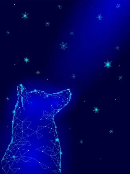 Feliz Ano Novo Chinês do cão. Laika sentado olhando para cima céu geométrico flocos de neve estrelas noite esperança sonho. Baixo poli poligonal triângulo abstrato saudação modelo de cartão azul. Ilustração vetorial — Vetor de Stock