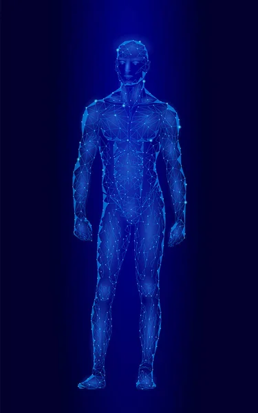 Fuerte cuerpo humano sano de pie modelo 3D de bajo diseño de poli. Android robot humanoide óptimo hombre perfecto fitness deporte forma. Poligonal punto geométrico línea partícula azul brillo vector ilustración — Archivo Imágenes Vectoriales