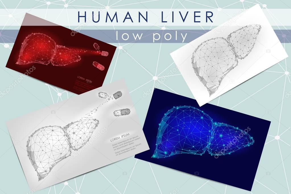 Human liver low poly medicine science illustration set. Internal organ anatomical pain cure concept. Help keep health drug mechanism action vector polygonal geometric point line