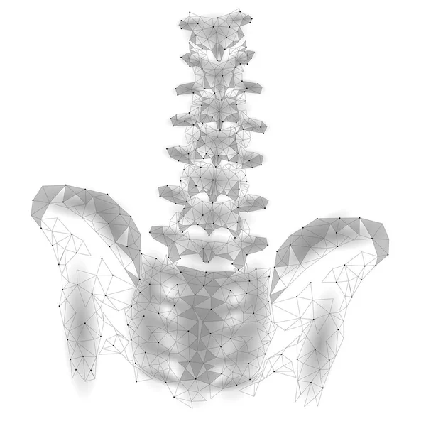 Radiculite lombar do quadril da coluna vertebral humana dor baixo poli. Linha de ponto de triângulo de partícula poligonal geométrica tecnologia de medicina futura ilustração vetor branco cinza abstrata — Vetor de Stock