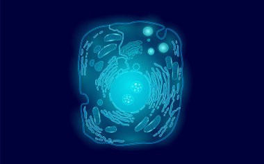 Animal human cell structure educational science. Microscope 3d eukaryotic nucleus organelle medicine technology analysis. Glowing blue biology poster template isolated line art vector illustration clipart