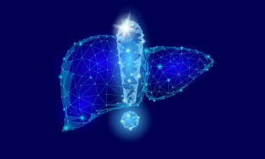 Dikkat sağlık uyarı ünlem karaciğer düşük Poli. Uyarı tehlikeli tıp hastalık riski siroz Emanet kavramı korumak. Mavi üçgen nokta çizgi çokgen vektör çizim