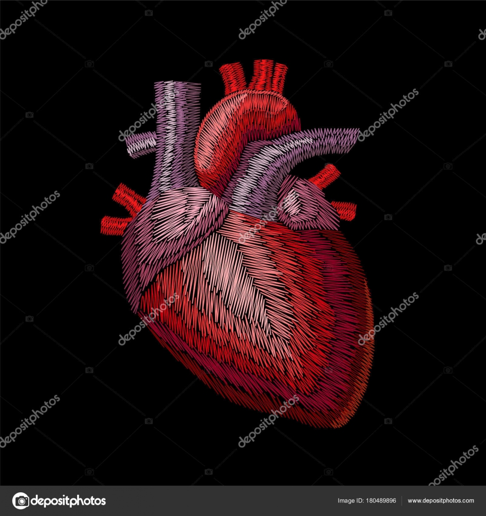 자 수 꿰 인간의 해부학 심장 의학 오르간입니다. 레드 스티치 자 수 디자인 텍스처 자세한 패치입니다. 패션 장식 서식 파일 벡터  일러스트 레이 션 스톡 벡터 - ©LuckyStep48 180489896, image size:963x1024