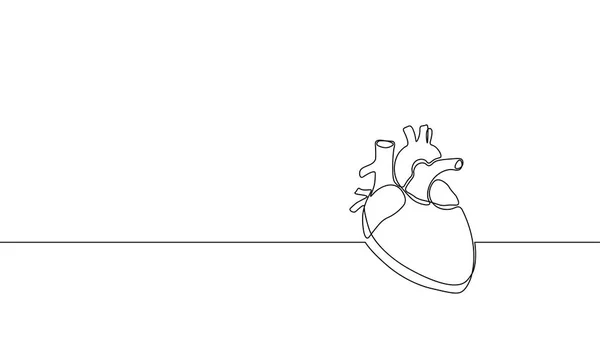 Silhouette unique de coeur humain anatomique d'art de ligne continue. Médecine saine concept conception un croquis esquisse dessin vectoriel illustration — Image vectorielle