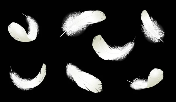 현실적인 3d 자세한 흰색 백조 비둘기 깃털 보풀 집합된 컬렉션 블랙 블루 배경. 벡터 일러스트입니다. 떨어지는 깃털 추상적인 빛 구성 공기 바람 비행 디자인 요소 — 스톡 벡터