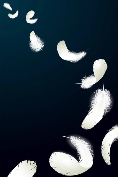 Réaliste 3D détaillée plumes de cygne blanc pigeon duvet fond bleu noir. Illustration vectorielle. Plumes tombantes composition abstraite lumière air vent élément design vol — Image vectorielle