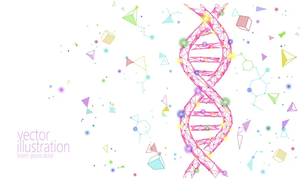 DNA 3d kemisk molekyl struktur låg poly. Polygonal triangel punkt linje frisk cell del. Mikroskopiska vetenskap röd medicin genomet teknik vektor illustration framtida teknik — Stock vektor