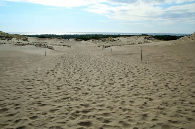 Litvanya 'daki Curonian Spit (Kursiu Nerija) Ulusal Parkı' ndan bir fotoğraf. Sahildeki büyük kum tepelerini görebilirsiniz..