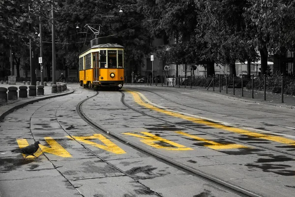 Obraz Typowego Żółtego Tramwaju Mediolanie Włochy Przejeżdżającego Przez Centrum Miasta — Zdjęcie stockowe