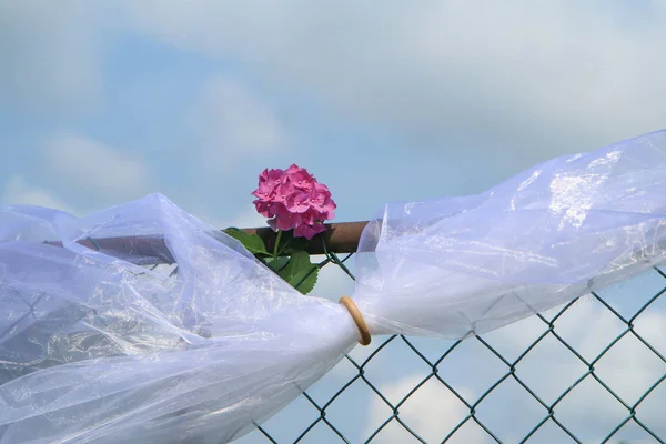 Detalle Una Decoración Boda Tradicional Flor Rosa Con Una Cinta — Foto de Stock