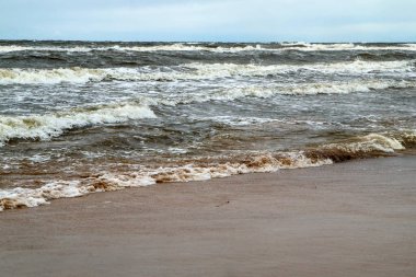 Yağmurlu ve rüzgarlı bir günde Letonya 'nın baltık kıyıları. Deniz vahşi ve dalgalar oldukça büyük. Plajlar bomboş..