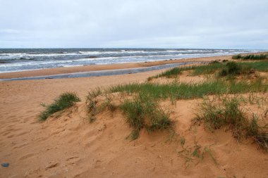 Yağmurlu ve rüzgarlı bir günde Letonya 'nın baltık kıyıları. Deniz vahşi ve dalgalar oldukça büyük. Plajlar bomboş..