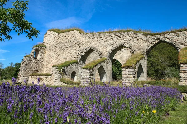 Las Ruinas Del Antiguo Claustro Alvastra Suecia Durante Bonito Día —  Fotos de Stock