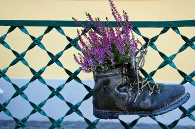 Kenevir dolu bir ayakkabı süs olarak çitlere asılmış..