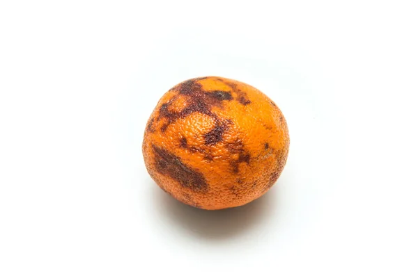 Una Imagen Una Mandarina Ordinaria Vieja Seca Tiene Una Pulpa — Foto de Stock