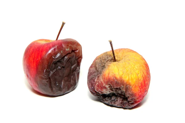 腐った 食べられない2つのリンゴ 白い背景に隔離された — ストック写真