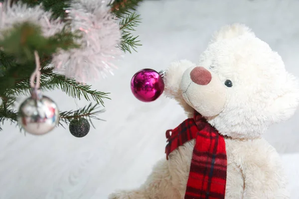 Cute Teddy Bear Scarf Giving Christmas Decoration Christmas Tree Holds — Stock Photo, Image